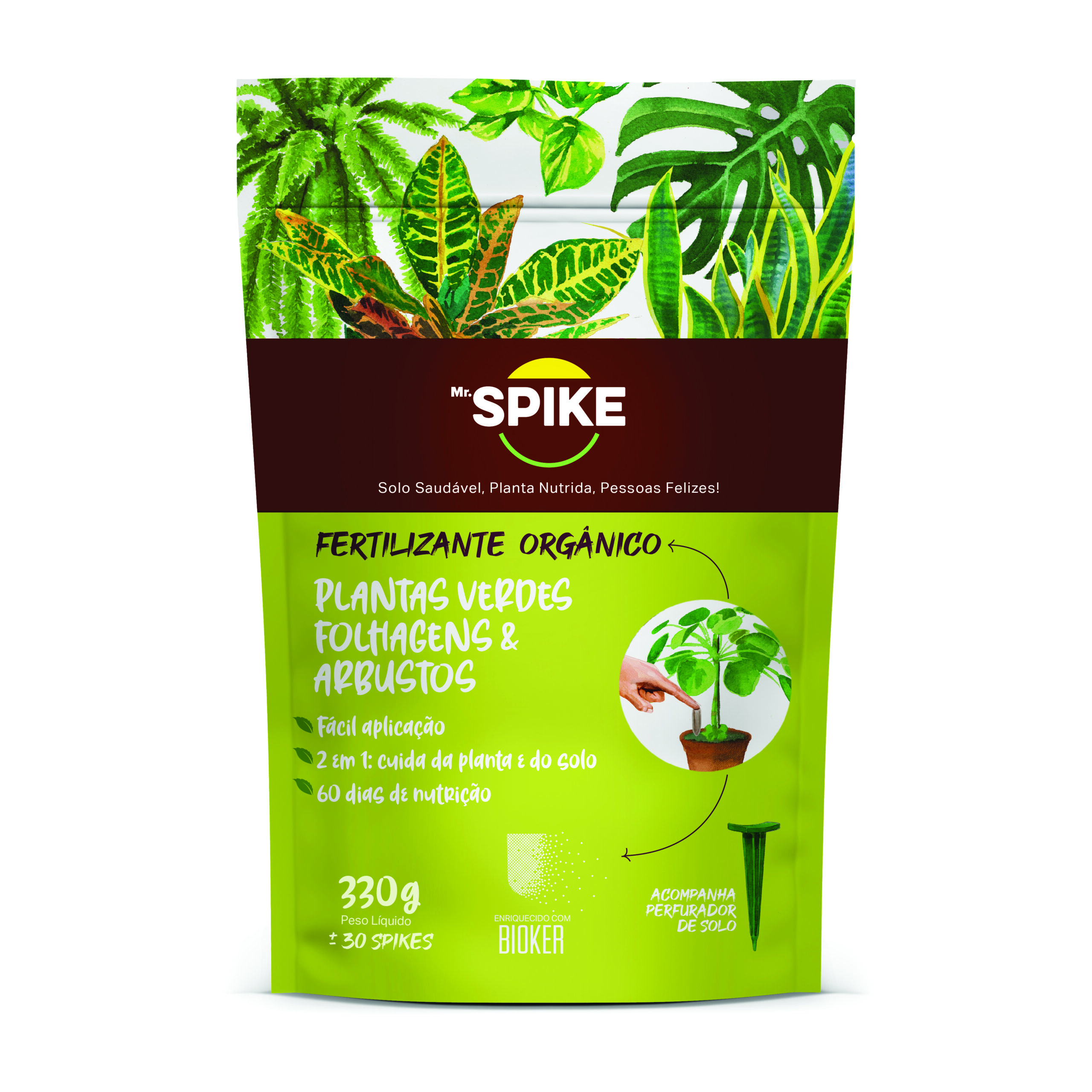 GREEN PLANTS